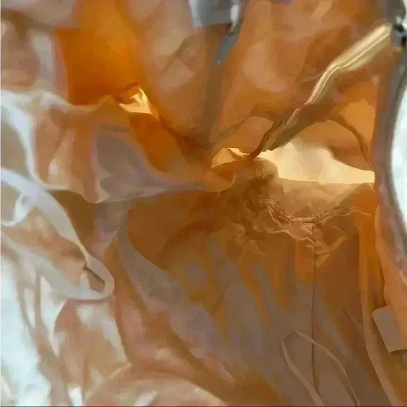 Vintage Fairycore Princess Coquette Embroidered Corset Prom Dress 8 Made In USA - Picture 9 of 15